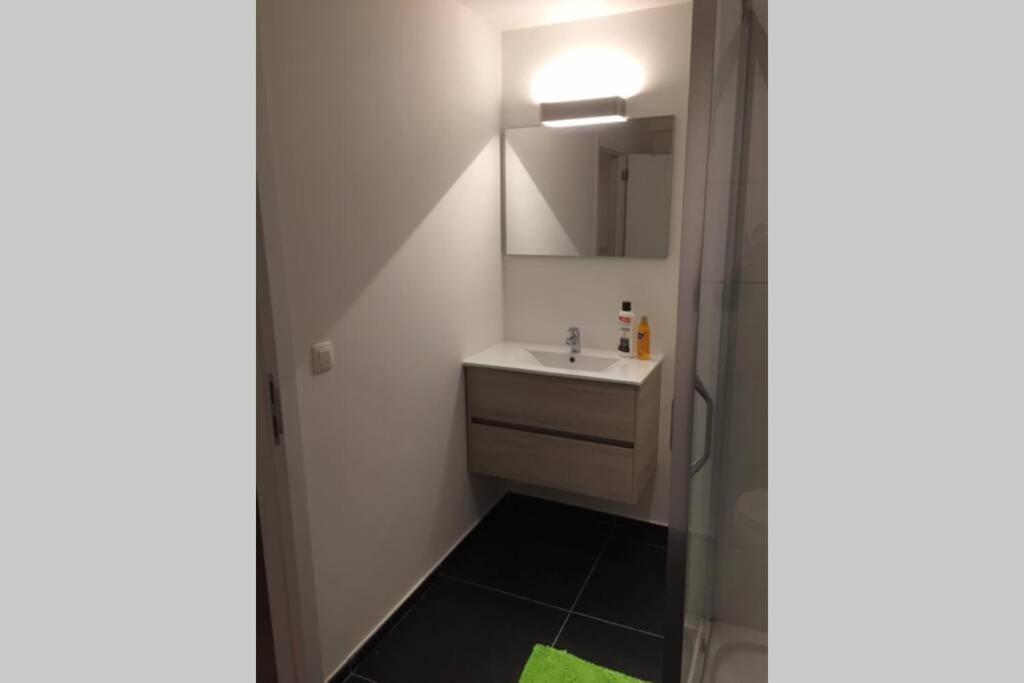 Appartement Duplex Pour 3-4 Personnes A Ciney Exteriör bild